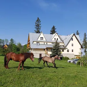 ellenőrizze a rendelkezésre állást